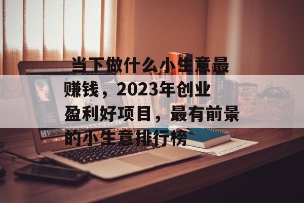  当下做什么小生意最赚钱，2023年创业盈利好项目，最有前景的小生意排行榜