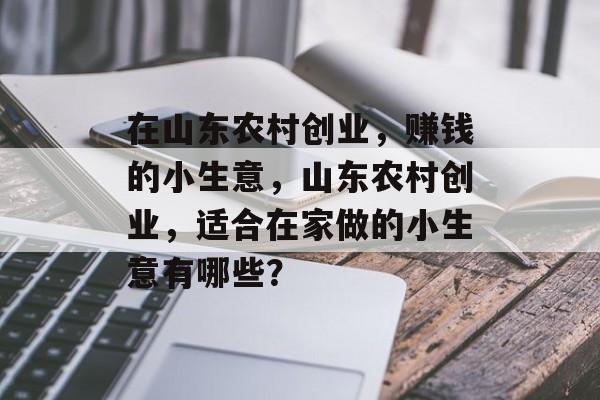 在山东农村创业,赚钱的小生意,山东农村创业,适合在家做的小生意有哪些? 在山东农村创业,赚钱的小生意,山东农村创业,适合在家做的小生意有哪些?