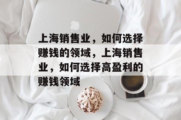上海销售业,如何选择赚钱的领域,上海销售业,如何选择高盈利的赚钱领域 上海销售业,如何选择赚钱的领域,上海销售业,如何选择高盈利的赚钱领域
