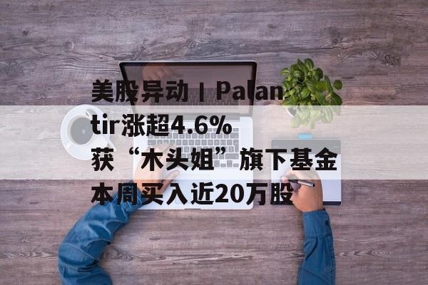 美股异动丨Palantir涨超4.6% 获“木头姐”旗下基金本周买入近20万股 美股异动丨Palantir涨超4.6% 获“木头姐”旗下基金本周买入近20万股
