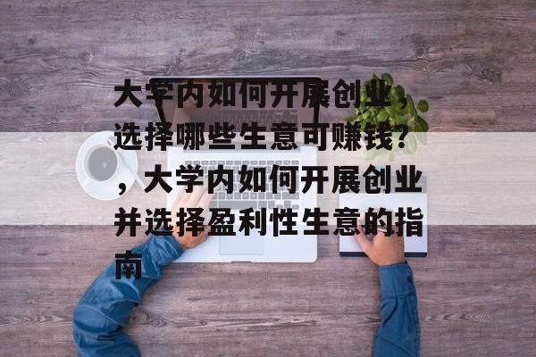 大学内如何开展创业,选择哪些生意可赚钱?,大学内如何开展创业并选择盈利性生意的指南 大学内如何开展创业,选择哪些生意可赚钱?,大学内如何开展创业并选择盈利性生意的指南