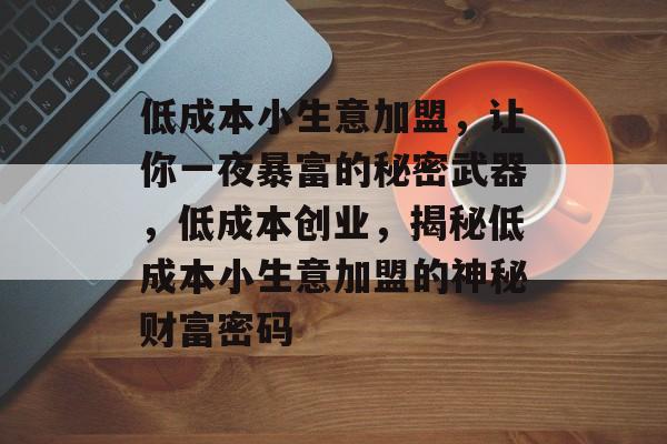 低成本小生意加盟,让你一夜暴富的秘密武器,低成本创业,揭秘低成本小生意加盟的神秘财富密码 低成本小生意加盟,让你一夜暴富的秘密武器,低成本创业,揭秘低成本小生意加盟的神秘财富密码