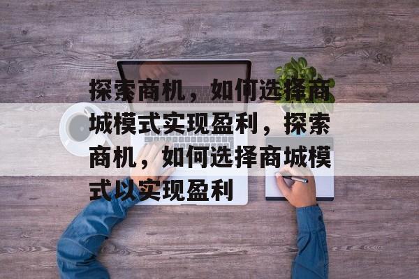 探索商机，如何选择商城模式实现盈利，探索商机，如何选择商城模式以实现盈利