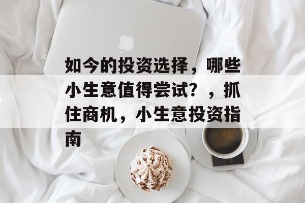如今的投资选择，哪些小生意值得尝试？，抓住商机，小生意投资指南