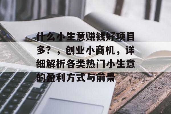 什么小生意赚钱好项目多?,创业小商机,详细解析各类热门小生意的盈利方式与前景 什么小生意赚钱好项目多?,创业小商机,详细解析各类热门小生意的盈利方式与前景