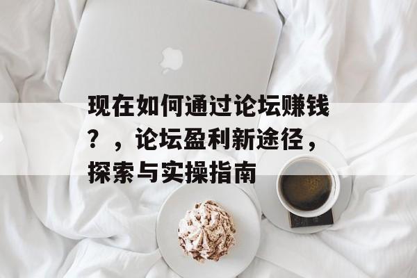 现在如何通过论坛赚钱?,论坛盈利新途径,探索与实操指南 现在如何通过论坛赚钱?,论坛盈利新途径,探索与实操指南