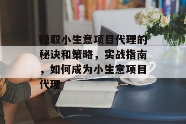 赚取小生意项目代理的秘诀和策略,实战指南,如何成为小生意项目代理 赚取小生意项目代理的秘诀和策略,实战指南,如何成为小生意项目代理