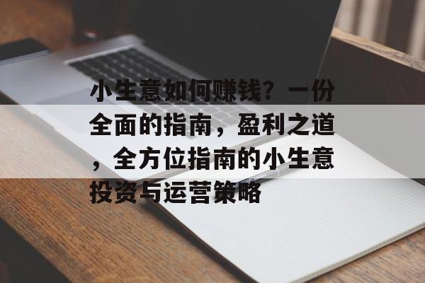 小生意如何赚钱?一份全面的指南,盈利之道,全方位指南的小生意投资与运营策略 小生意如何赚钱?一份全面的指南,盈利之道,全方位指南的小生意投资与运营策略