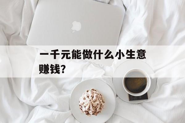 一千元能做什么小生意赚钱? 一千元能做什么小生意赚钱?