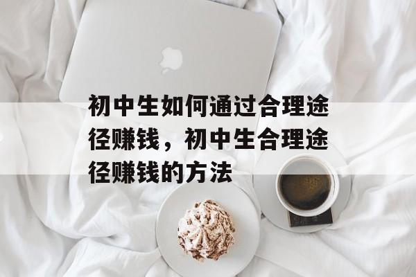 初中生如何通过合理途径赚钱，初中生合理途径赚钱的方法