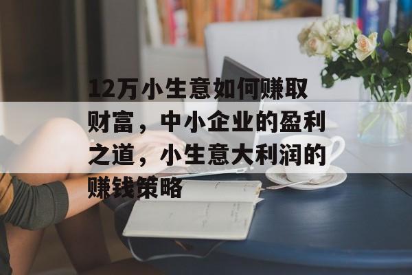 12万小生意如何赚取财富,中小企业的盈利之道,小生意大利润的赚钱策略 12万小生意如何赚取财富,中小企业的盈利之道,小生意大利润的赚钱策略