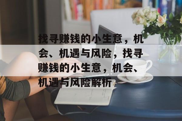 找寻赚钱的小生意，机会、机遇与风险，找寻赚钱的小生意，机会、机遇与风险解析