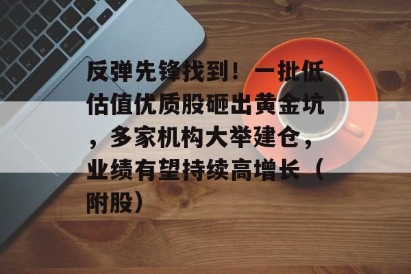 反弹先锋找到!一批低估值优质股砸出黄金坑,多家机构大举建仓,业绩有望持续高增长(附股) 反弹先锋找到!一批低估值优质股砸出黄金坑,多家机构大举建仓,业绩有望持续高增长(附股)