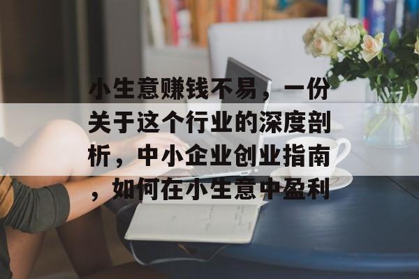 小生意赚钱不易,一份关于这个行业的深度剖析,中小企业创业指南,如何在小生意中盈利 小生意赚钱不易,一份关于这个行业的深度剖析,中小企业创业指南,如何在小生意中盈利
