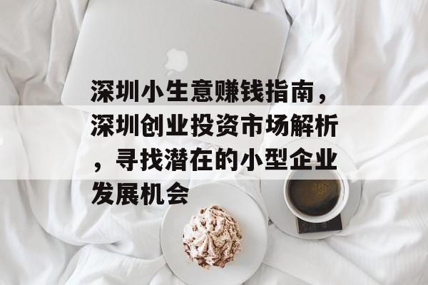 深圳小生意赚钱指南，深圳创业投资市场解析，寻找潜在的小型企业发展机会