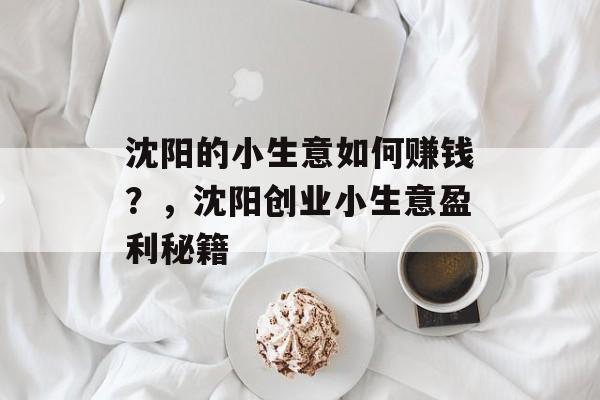 沈阳的小生意如何赚钱?,沈阳创业小生意盈利秘籍 沈阳的小生意如何赚钱?,沈阳创业小生意盈利秘籍
