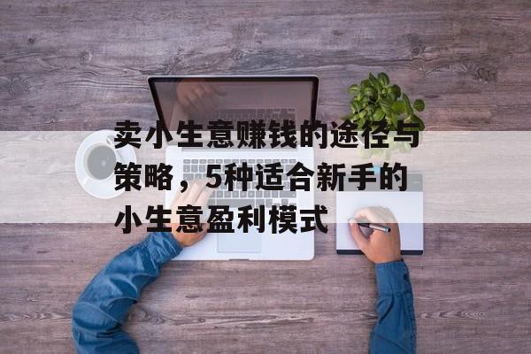 卖小生意赚钱的途径与策略,5种适合新手的小生意盈利模式 卖小生意赚钱的途径与策略,5种适合新手的小生意盈利模式