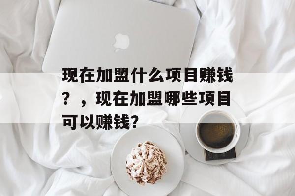现在加盟什么项目赚钱?,现在加盟哪些项目可以赚钱? 现在加盟什么项目赚钱?,现在加盟哪些项目可以赚钱?