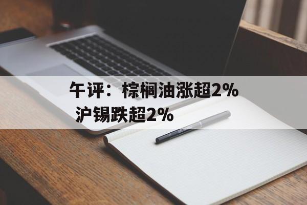 午评:棕榈油涨超2% 沪锡跌超2% 午评:棕榈油涨超2% 沪锡跌超2%