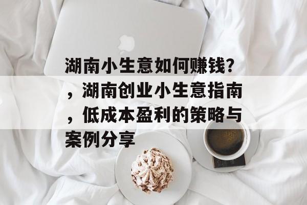 湖南小生意如何赚钱?,湖南创业小生意指南,低成本盈利的策略与案例分享 湖南小生意如何赚钱?,湖南创业小生意指南,低成本盈利的策略与案例分享
