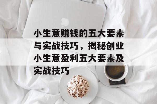 小生意赚钱的五大要素与实战技巧,揭秘创业小生意盈利五大要素及实战技巧 小生意赚钱的五大要素与实战技巧,揭秘创业小生意盈利五大要素及实战技巧