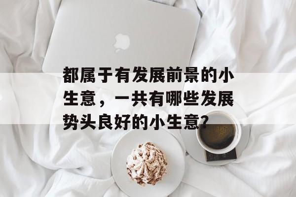 都属于有发展前景的小生意,一共有哪些发展势头良好的小生意? 都属于有发展前景的小生意,一共有哪些发展势头良好的小生意?
