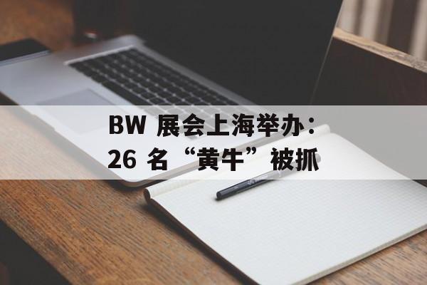 BW 展会上海举办：26 名“黄牛”被抓