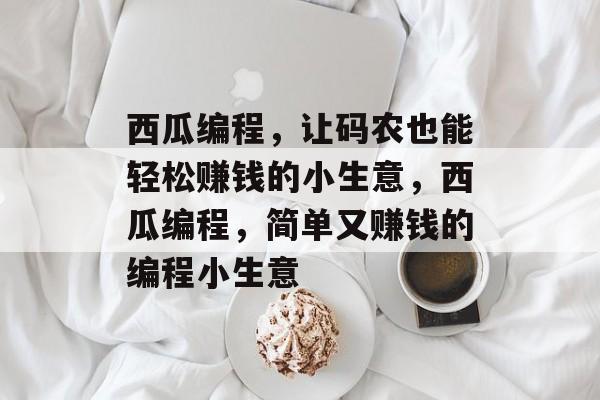 西瓜编程，让码农也能轻松赚钱的小生意，西瓜编程，简单又赚钱的编程小生意