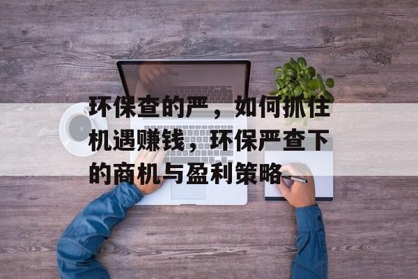 环保查的严，如何抓住机遇赚钱，环保严查下的商机与盈利策略