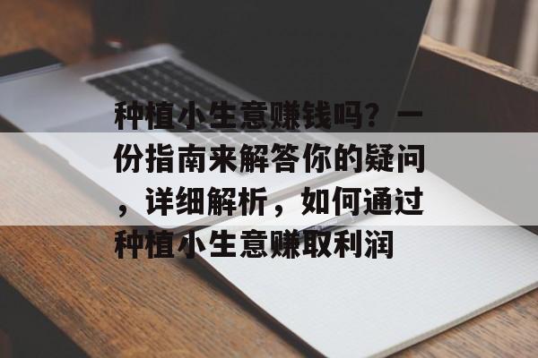 种植小生意赚钱吗？一份指南来解答你的疑问，详细解析，如何通过种植小生意赚取利润