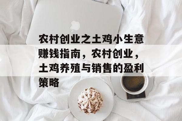 农村创业之土鸡小生意赚钱指南,农村创业,土鸡养殖与销售的盈利策略 农村创业之土鸡小生意赚钱指南,农村创业,土鸡养殖与销售的盈利策略