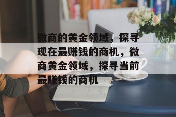微商的黄金领域,探寻现在最赚钱的商机,微商黄金领域,探寻当前最赚钱的商机 微商的黄金领域,探寻现在最赚钱的商机,微商黄金领域,探寻当前最赚钱的商机