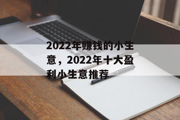 2022年赚钱的小生意，2022年十大盈利小生意推荐