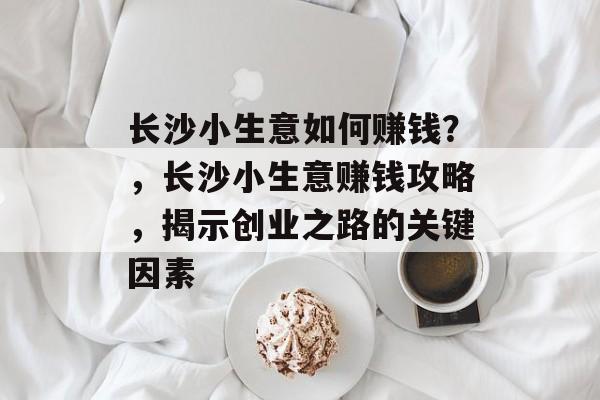长沙小生意如何赚钱?,长沙小生意赚钱攻略,揭示创业之路的关键因素 长沙小生意如何赚钱?,长沙小生意赚钱攻略,揭示创业之路的关键因素