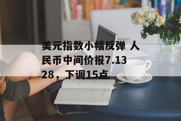 美元指数小幅反弹 人民币中间价报7.1328,下调15点 美元指数小幅反弹 人民币中间价报7.1328,下调15点