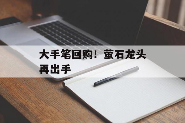 大手笔回购！萤石龙头再出手