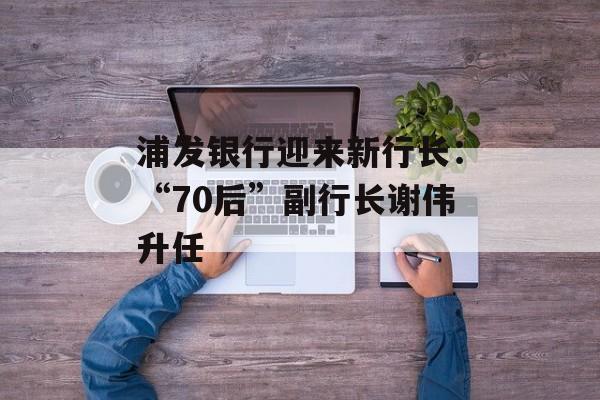 浦发银行迎来新行长:“70后”副行长谢伟升任 浦发银行迎来新行长:“70后”副行长谢伟升任