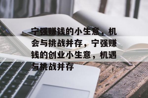 宁强赚钱的小生意,机会与挑战并存,宁强赚钱的创业小生意,机遇与挑战并存 宁强赚钱的小生意,机会与挑战并存,宁强赚钱的创业小生意,机遇与挑战并存
