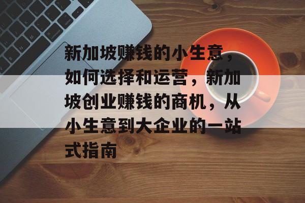新加坡赚钱的小生意,如何选择和运营,新加坡创业赚钱的商机,从小生意到大企业的一站式指南 新加坡赚钱的小生意,如何选择和运营,新加坡创业赚钱的商机,从小生意到大企业的一站式指南