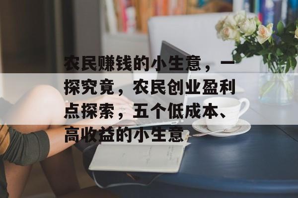 农民赚钱的小生意,一探究竟,农民创业盈利点探索,五个低成本、高收益的小生意 农民赚钱的小生意,一探究竟,农民创业盈利点探索,五个低成本、高收益的小生意