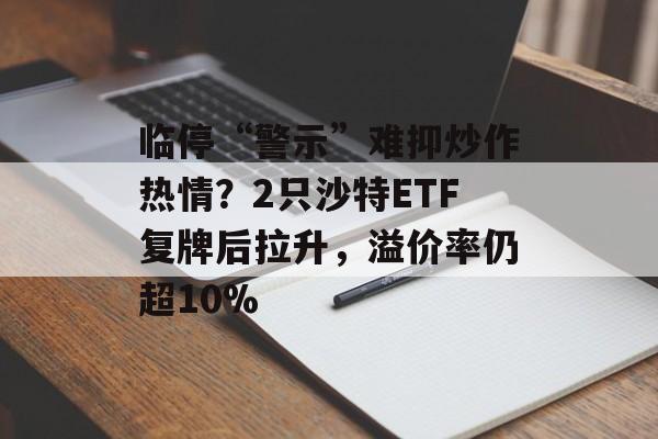 临停“警示”难抑炒作热情?2只沙特ETF复牌后拉升,溢价率仍超10% 临停“警示”难抑炒作热情?2只沙特ETF复牌后拉升,溢价率仍超10%