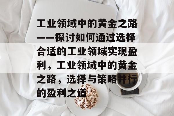 工业领域中的黄金之路——探讨如何通过选择合适的工业领域实现盈利,工业领域中的黄金之路,选择与策略并行的盈利之道 工业领域中的黄金之路——探讨如何通过选择合适的工业领域实现盈利,工业领域中的黄金之路,选择与策略并行的盈利之道