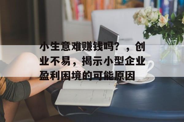 小生意难赚钱吗?,创业不易,揭示小型企业盈利困境的可能原因 小生意难赚钱吗?,创业不易,揭示小型企业盈利困境的可能原因