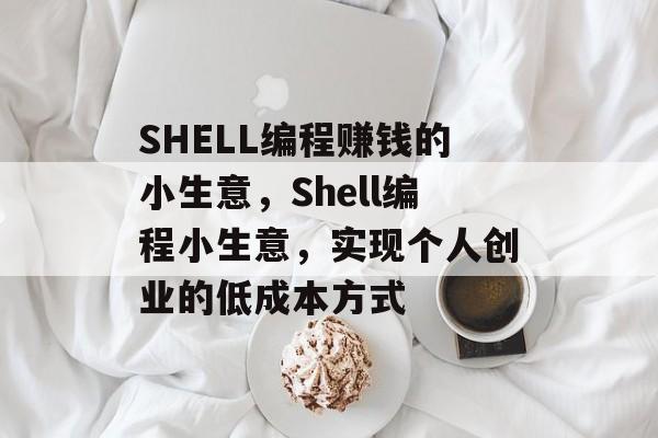 SHELL编程赚钱的小生意,Shell编程小生意,实现个人创业的低成本方式 SHELL编程赚钱的小生意,Shell编程小生意,实现个人创业的低成本方式