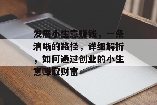 发展小生意赚钱,一条清晰的路径,详细解析,如何通过创业的小生意赚取财富 发展小生意赚钱,一条清晰的路径,详细解析,如何通过创业的小生意赚取财富