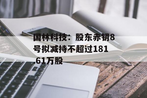 国林科技：股东赤钥8号拟减持不超过181.61万股