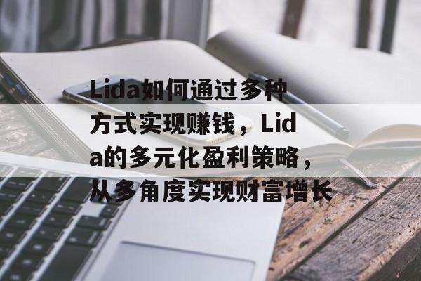 Lida如何通过多种方式实现赚钱,Lida的多元化盈利策略,从多角度实现财富增长 Lida如何通过多种方式实现赚钱,Lida的多元化盈利策略,从多角度实现财富增长