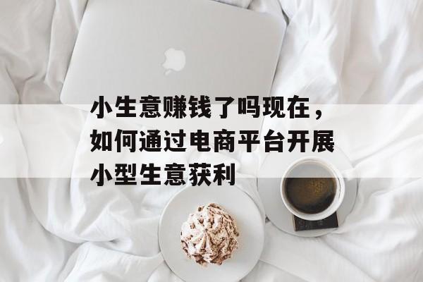 小生意赚钱了吗现在,如何通过电商平台开展小型生意获利 小生意赚钱了吗现在,如何通过电商平台开展小型生意获利