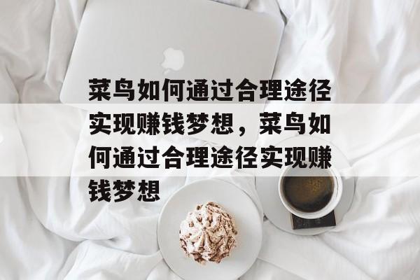 菜鸟如何通过合理途径实现赚钱梦想,菜鸟如何通过合理途径实现赚钱梦想 菜鸟如何通过合理途径实现赚钱梦想,菜鸟如何通过合理途径实现赚钱梦想