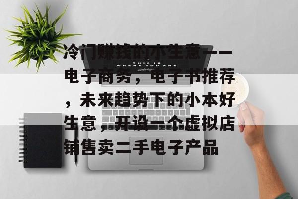 冷门赚钱的小生意——电子商务,电子书推荐,未来趋势下的小本好生意,开设一个虚拟店铺售卖二手电子产品 冷门赚钱的小生意——电子商务,电子书推荐,未来趋势下的小本好生意,开设一个虚拟店铺售卖二手电子产品